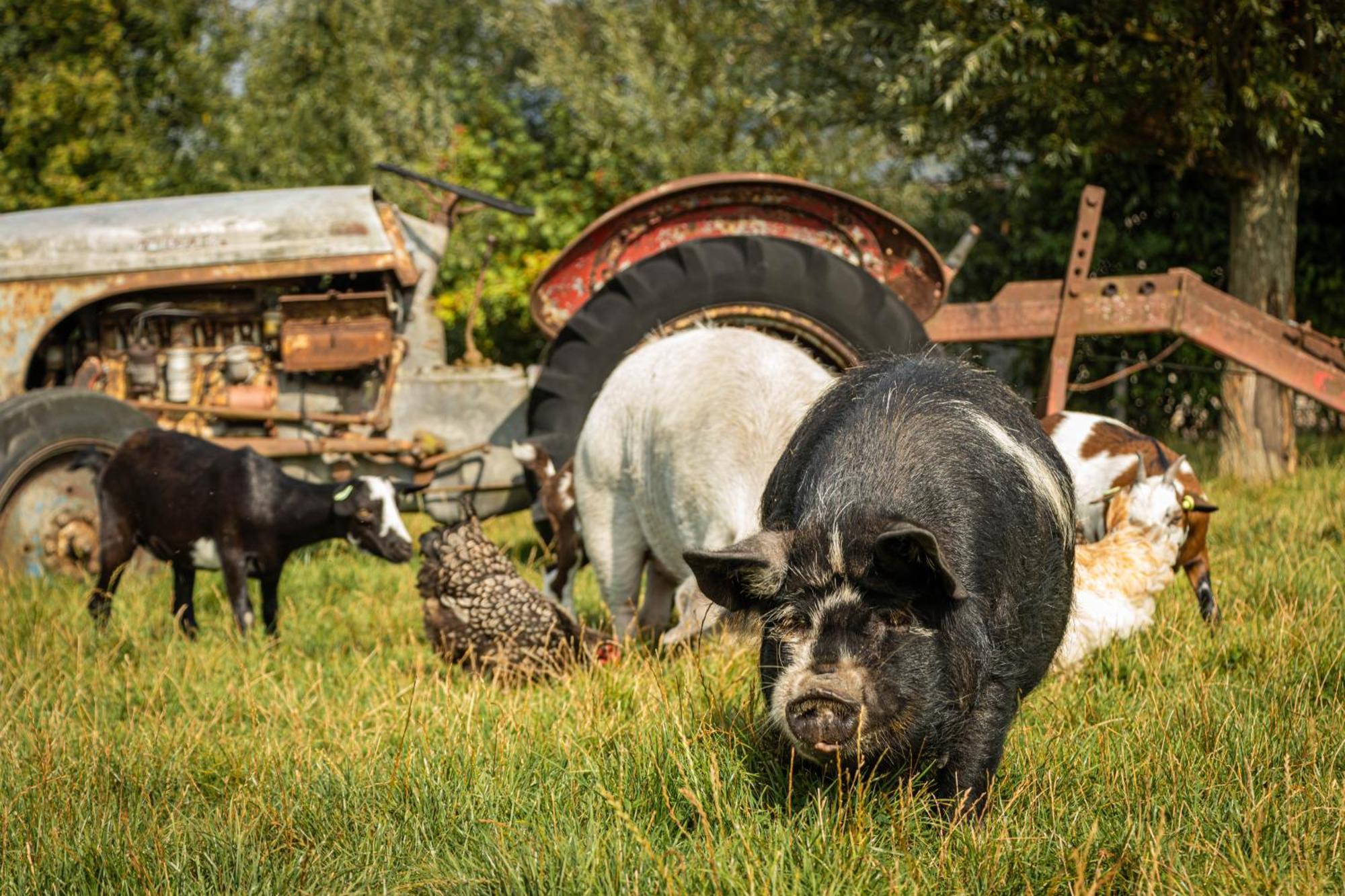 Landgoed Versteegh nabij heerlijkheid Mariënwaerdt Beesd Buitenkant foto